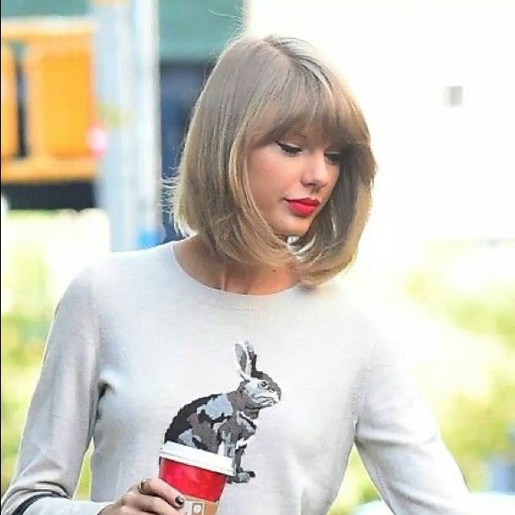Talbots Sweaters - ASO Taylor Swift Talbots Bunny Rabbit Sweater XS